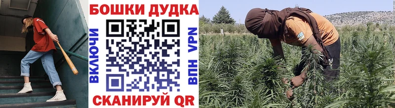 blacksprut вход  Среднеуральск  Каннабис индика 